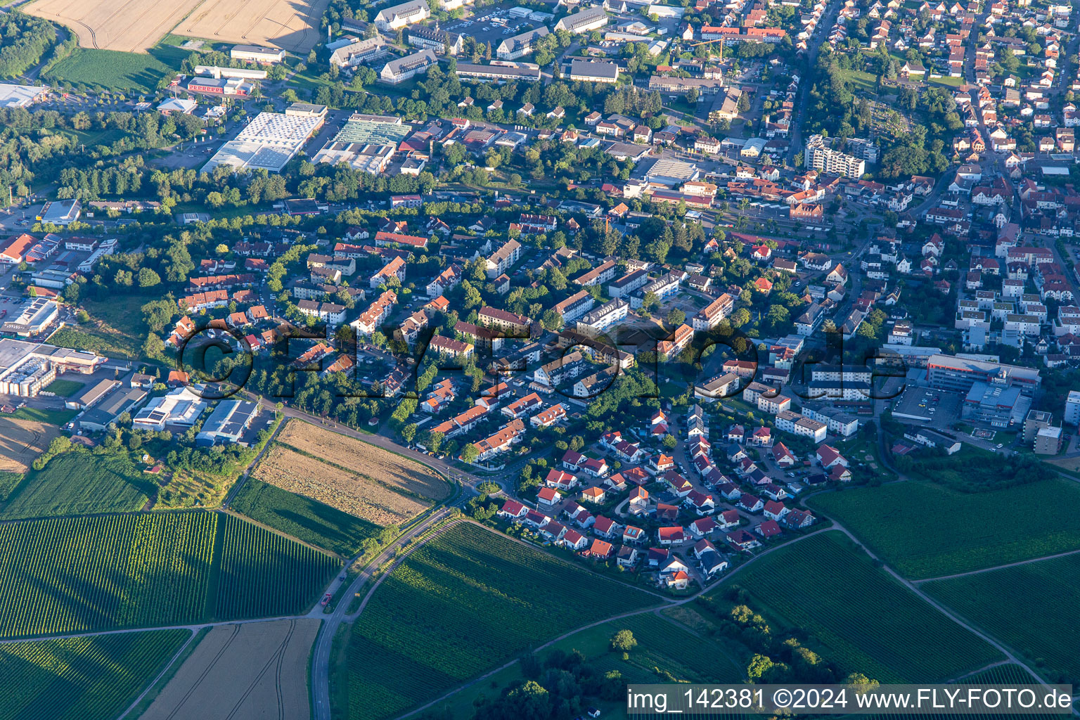 Vue aérienne de Nouvelle zone de développement à Wngert à le quartier Pleisweiler in Bad Bergzabern dans le département Rhénanie-Palatinat, Allemagne