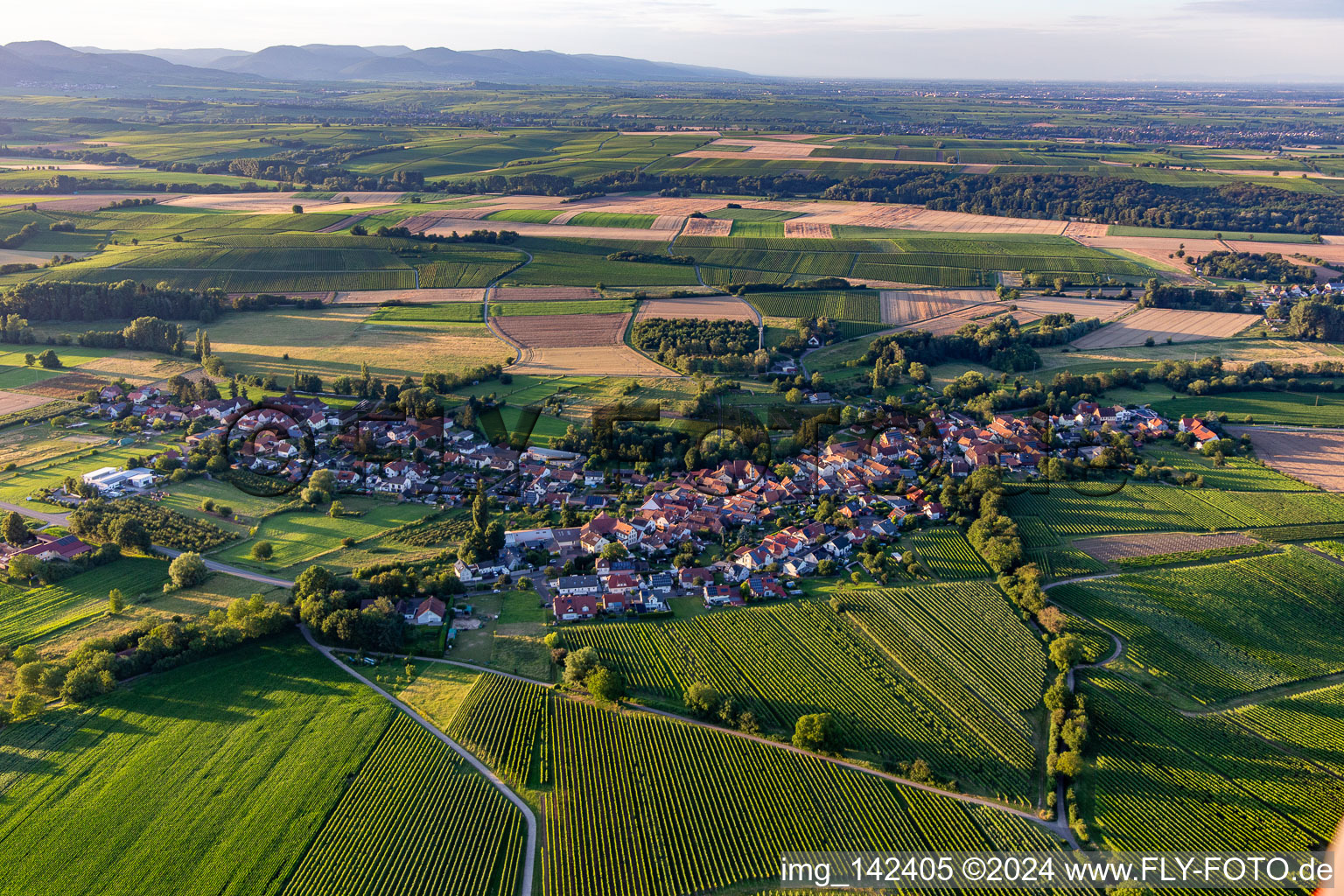 Vue aérienne de Du sud à Oberhausen dans le département Rhénanie-Palatinat, Allemagne