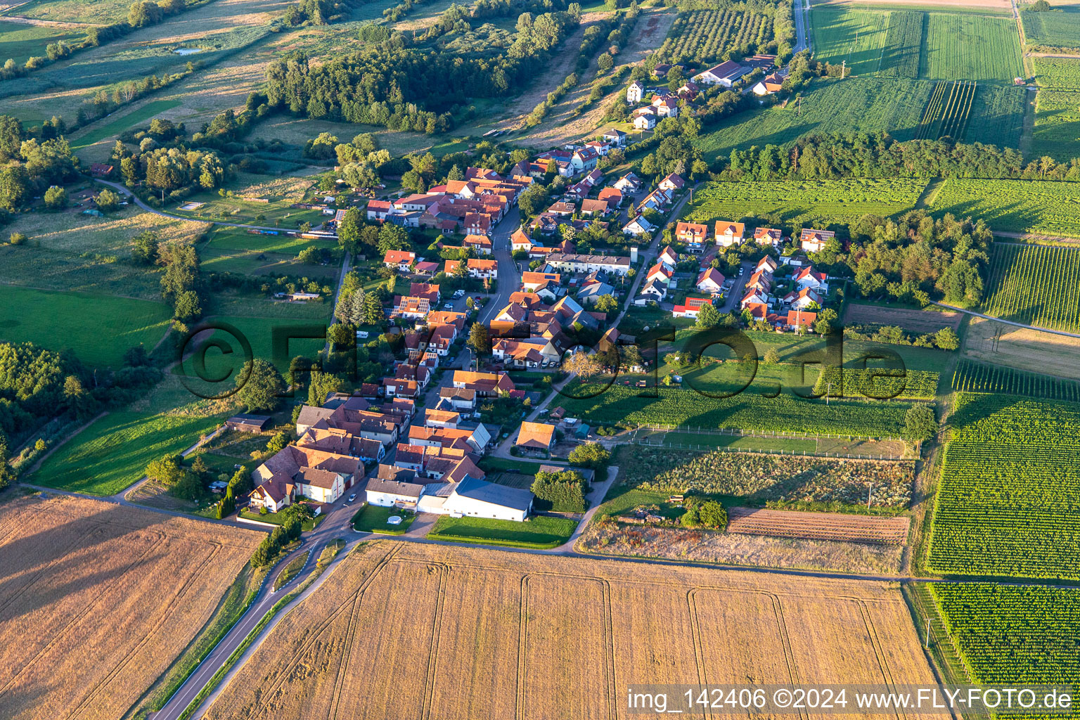 Vue aérienne de De l'ouest à Hergersweiler dans le département Rhénanie-Palatinat, Allemagne