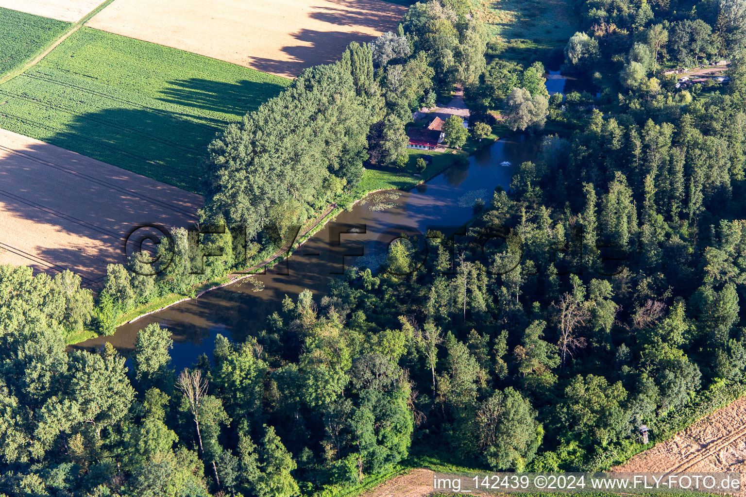 Vue aérienne de Étangs à poissons sur le Quodbach à Insheim dans le département Rhénanie-Palatinat, Allemagne