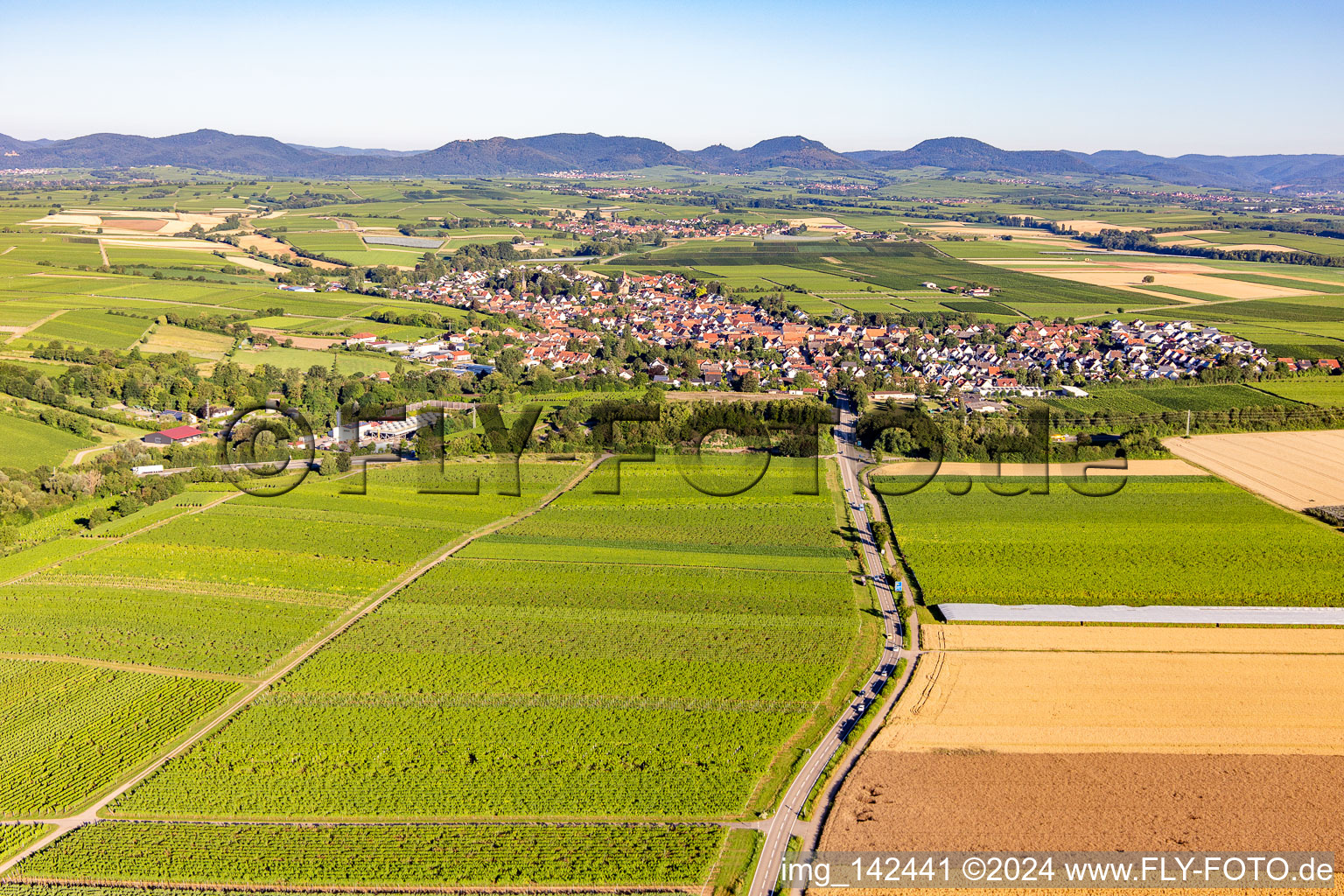 Vue aérienne de De l'ouest à Insheim dans le département Rhénanie-Palatinat, Allemagne