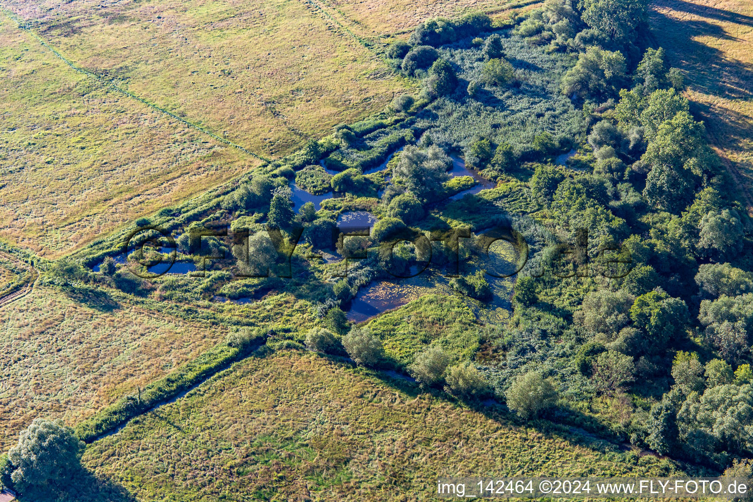 Photographie aérienne de Biotope sur le Queich à le quartier Niederhochstadt in Hochstadt dans le département Rhénanie-Palatinat, Allemagne