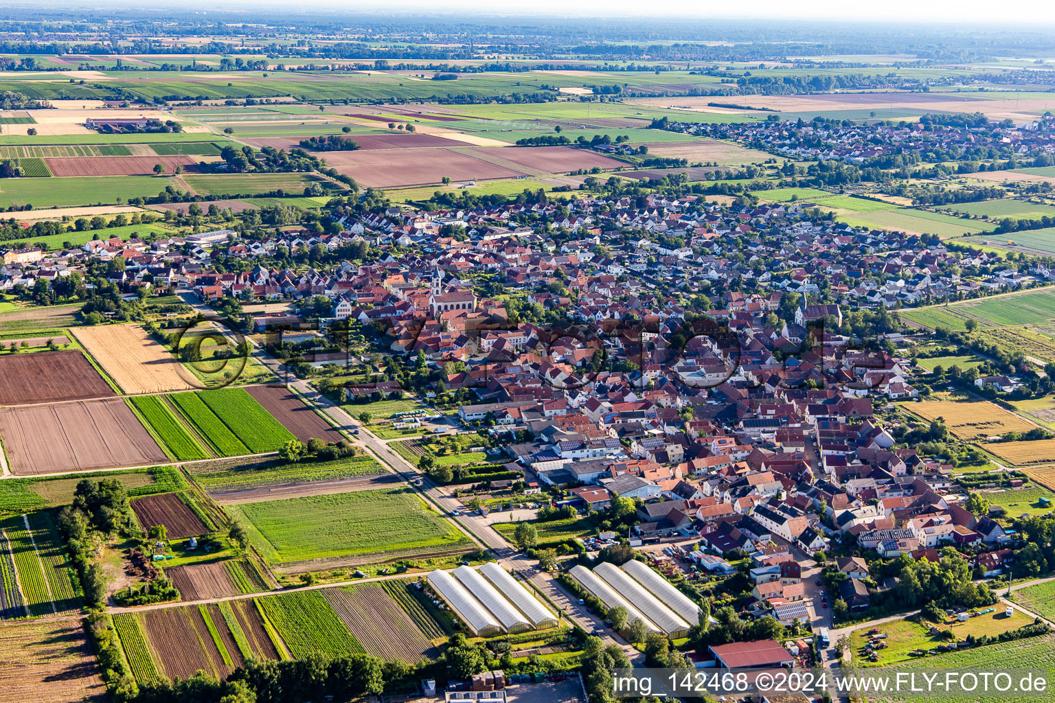 Vue aérienne de Du sud-ouest à Zeiskam dans le département Rhénanie-Palatinat, Allemagne