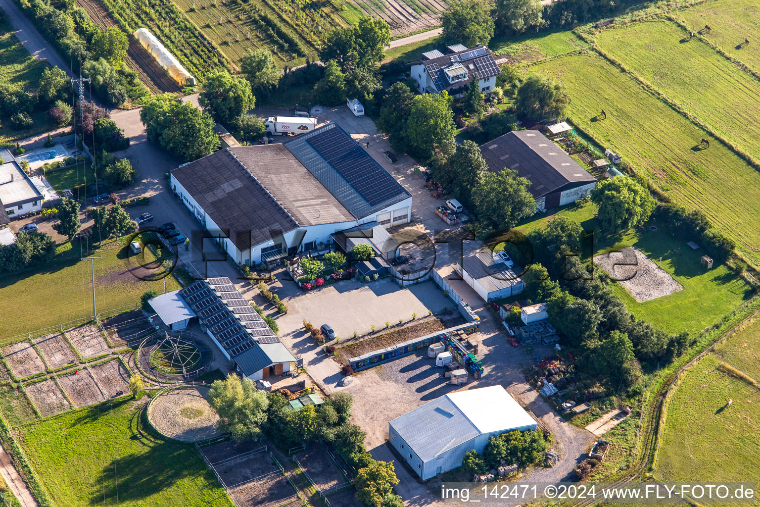 Vue aérienne de Halle CHIC à Zeiskam dans le département Rhénanie-Palatinat, Allemagne