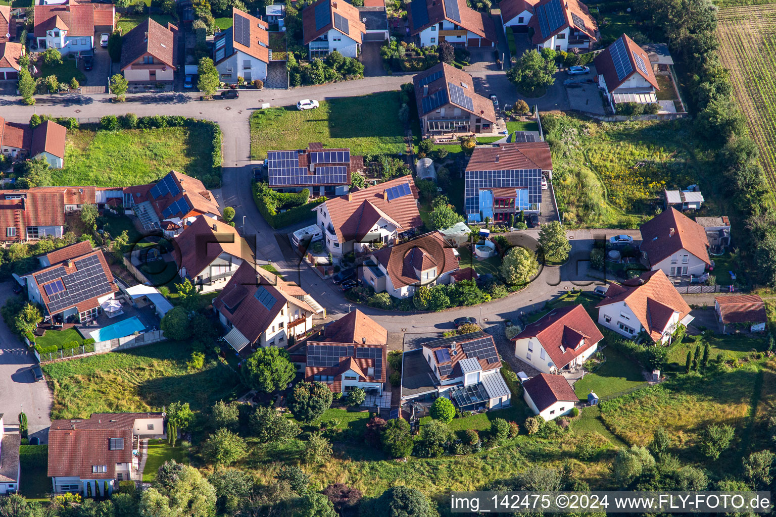 Vue aérienne de En d. Pfarrau à Zeiskam dans le département Rhénanie-Palatinat, Allemagne