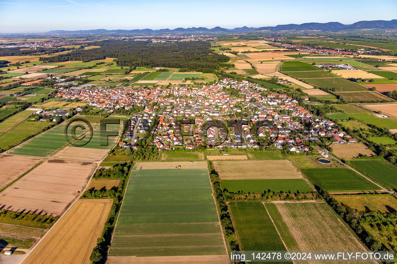 Vue aérienne de De l'est à Zeiskam dans le département Rhénanie-Palatinat, Allemagne