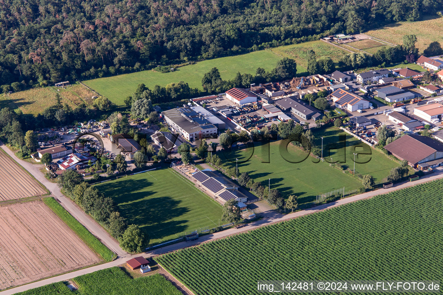 Vue aérienne de Club de football Lustadt eV à le quartier Niederlustadt in Lustadt dans le département Rhénanie-Palatinat, Allemagne