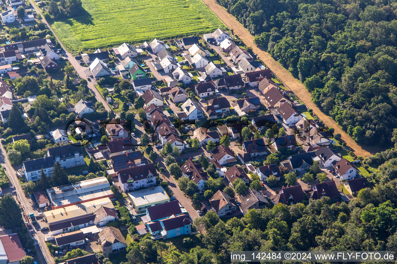 Vue aérienne de Waldstr. à Westheim dans le département Rhénanie-Palatinat, Allemagne