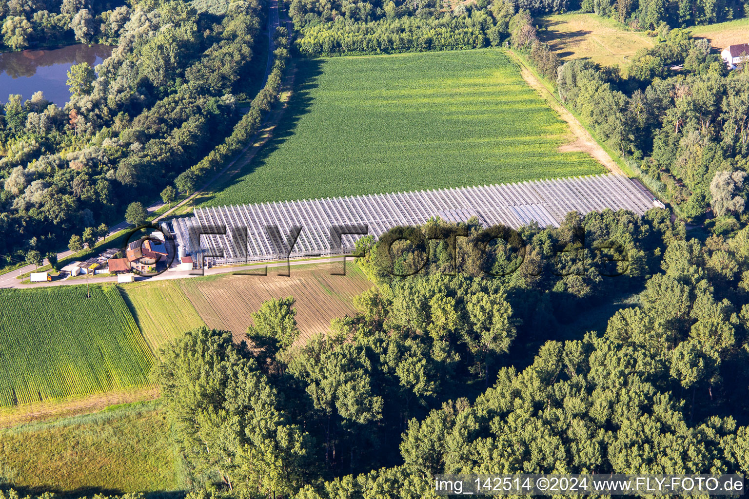 Vue aérienne de Pépinière Blumen-Xpert GbR avec serres dans la Hördter Straße à le quartier Sondernheim in Germersheim dans le département Rhénanie-Palatinat, Allemagne