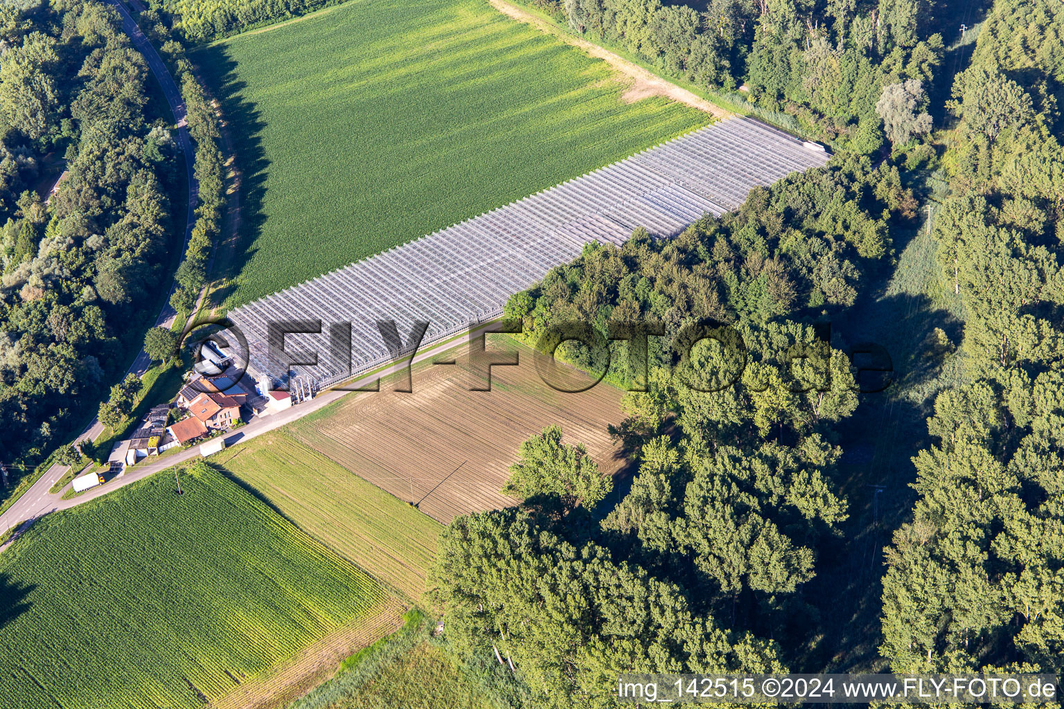 Vue aérienne de Pépinière Blumen-Xpert GbR avec serres dans la Hördter Straße à le quartier Sondernheim in Germersheim dans le département Rhénanie-Palatinat, Allemagne