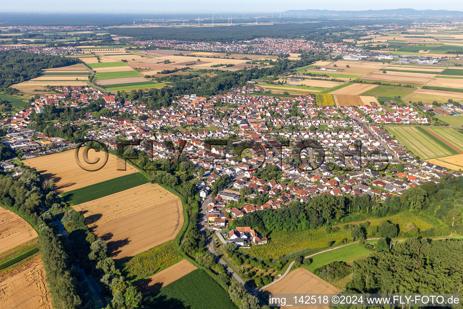 Vue aérienne de Du nord-est à Hördt dans le département Rhénanie-Palatinat, Allemagne