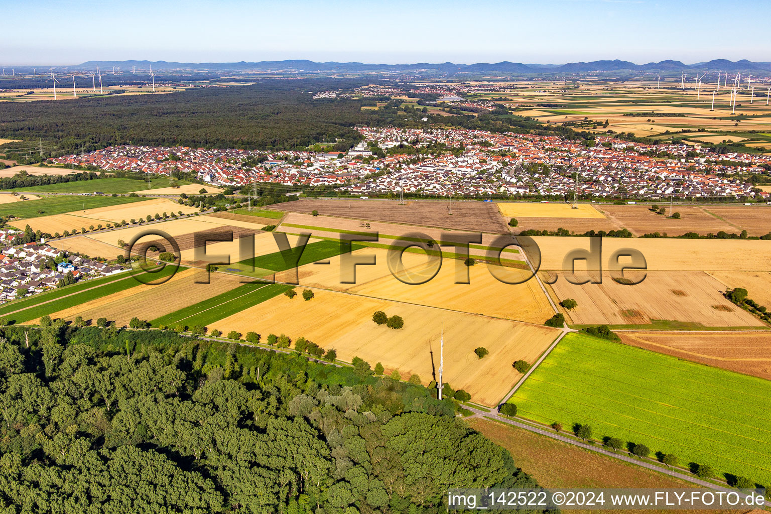 Vue aérienne de De l'est à Rülzheim dans le département Rhénanie-Palatinat, Allemagne