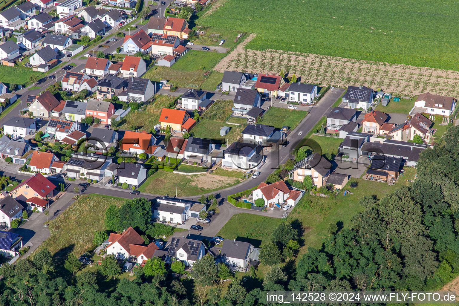 Bague fleur à le quartier Hardtwald in Neupotz dans le département Rhénanie-Palatinat, Allemagne vue d'en haut