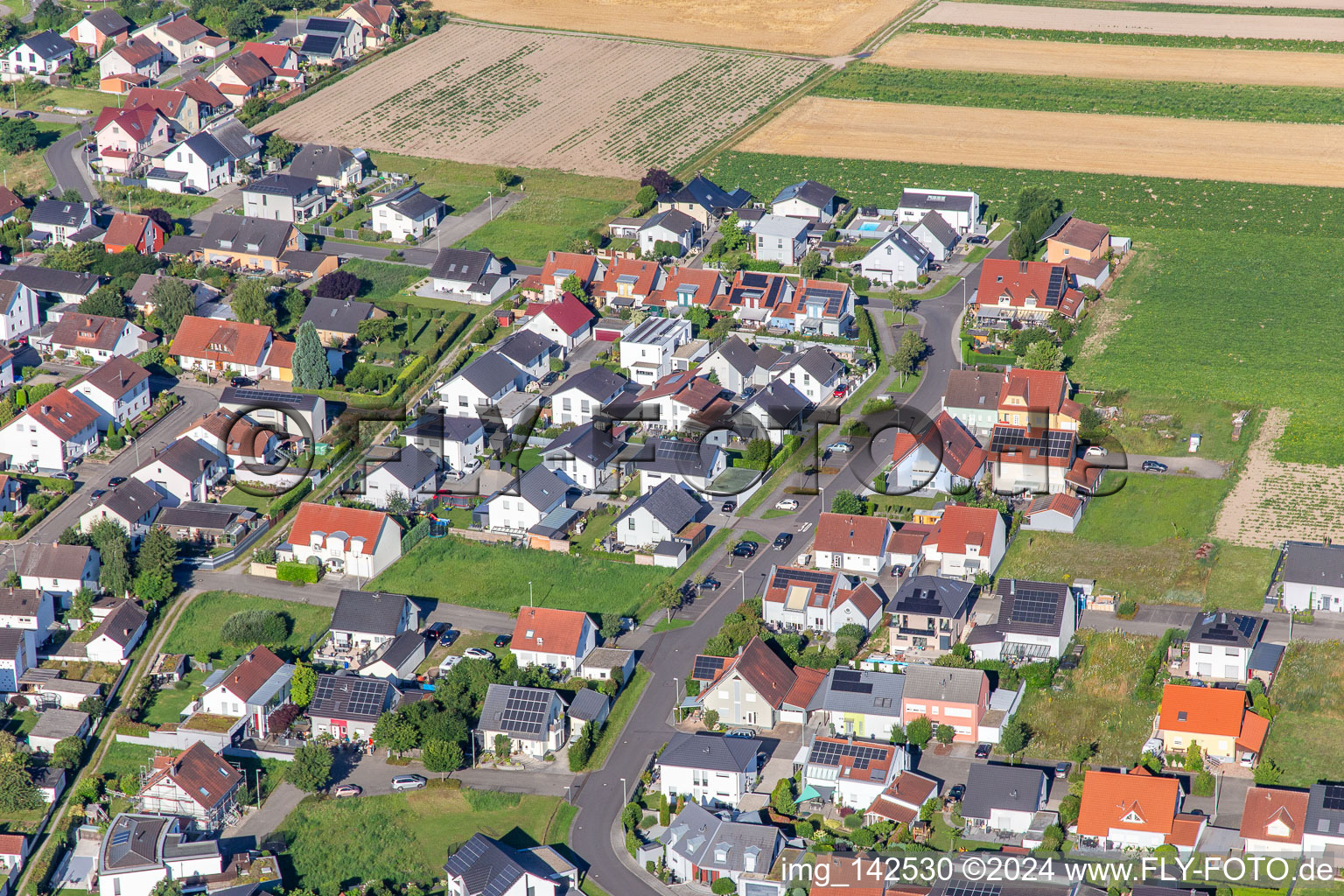 Bague fleur à le quartier Hardtwald in Neupotz dans le département Rhénanie-Palatinat, Allemagne depuis l'avion