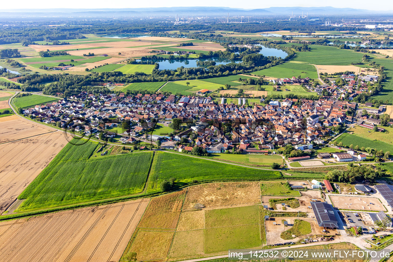 Vue aérienne de Du nord à Neupotz dans le département Rhénanie-Palatinat, Allemagne