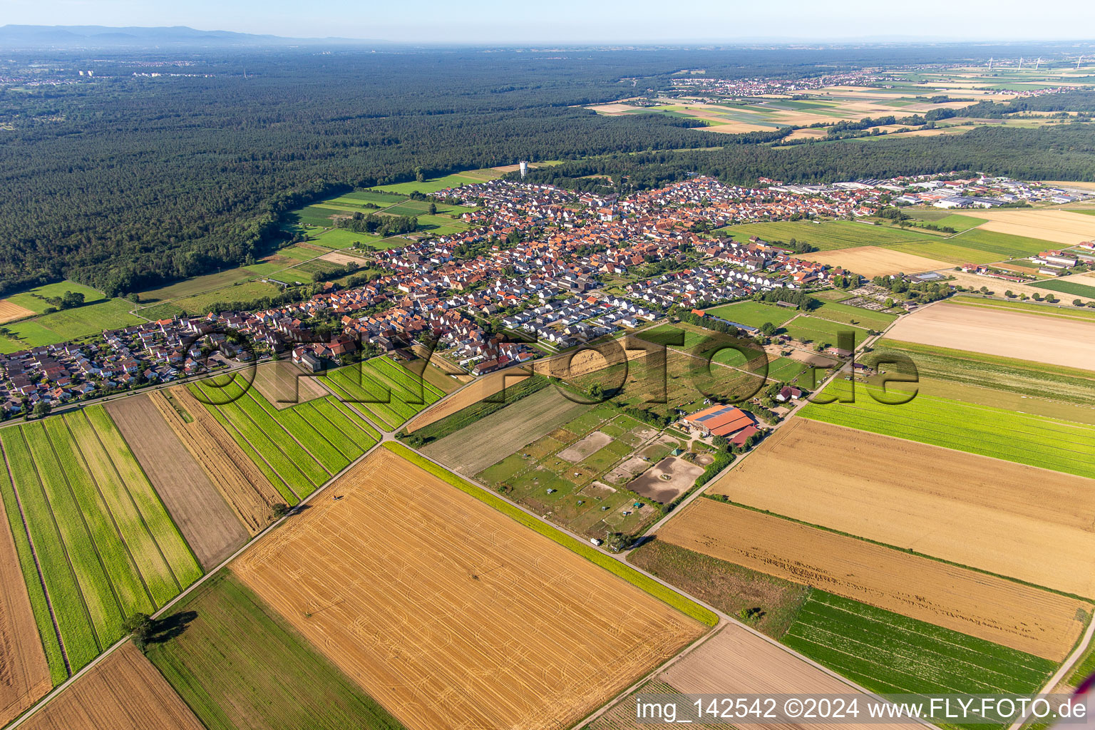 Vue aérienne de Du nord-est à Hatzenbühl dans le département Rhénanie-Palatinat, Allemagne