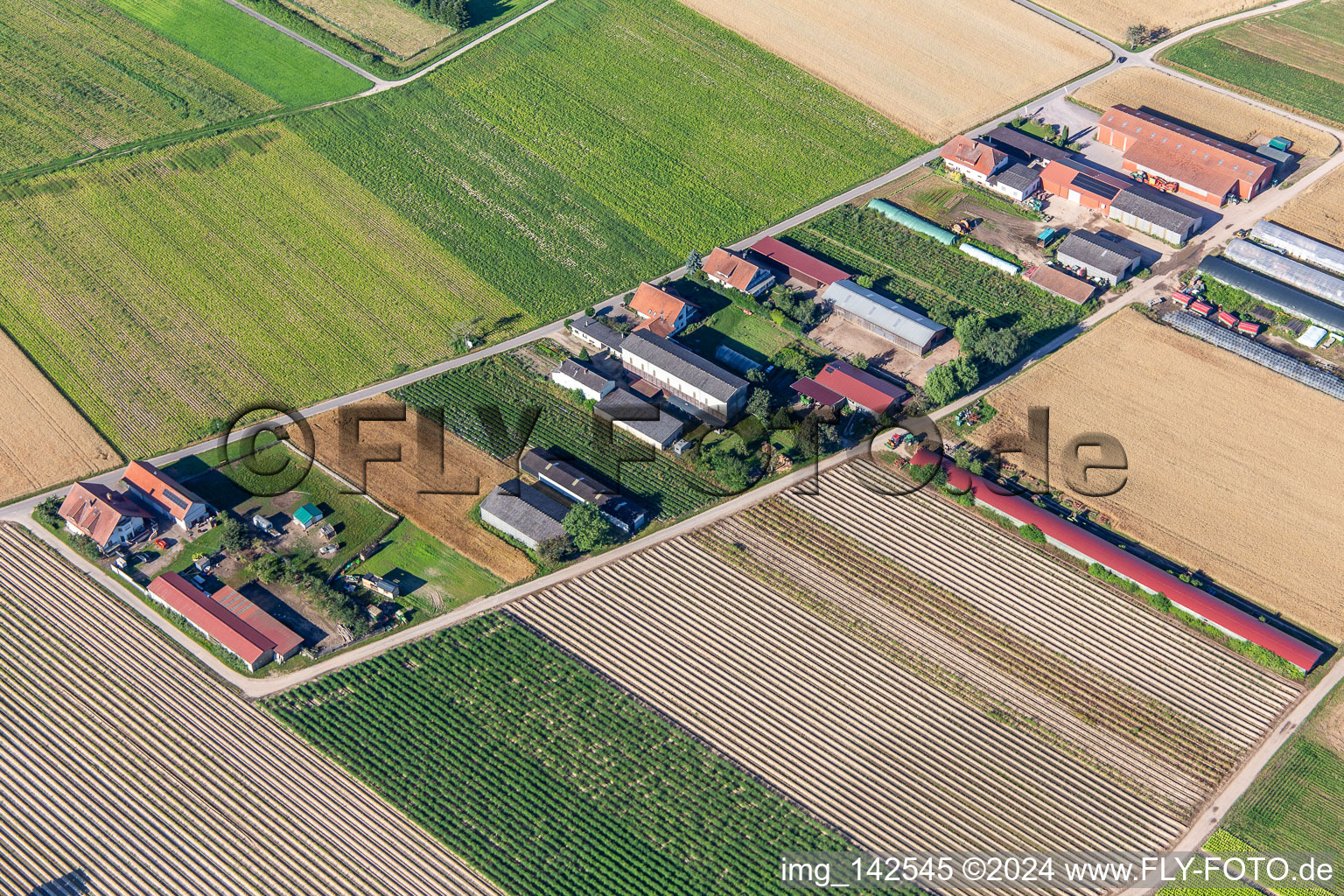 Vue aérienne de Aussiedlerhöfe Am Bildstöckel à Hatzenbühl dans le département Rhénanie-Palatinat, Allemagne