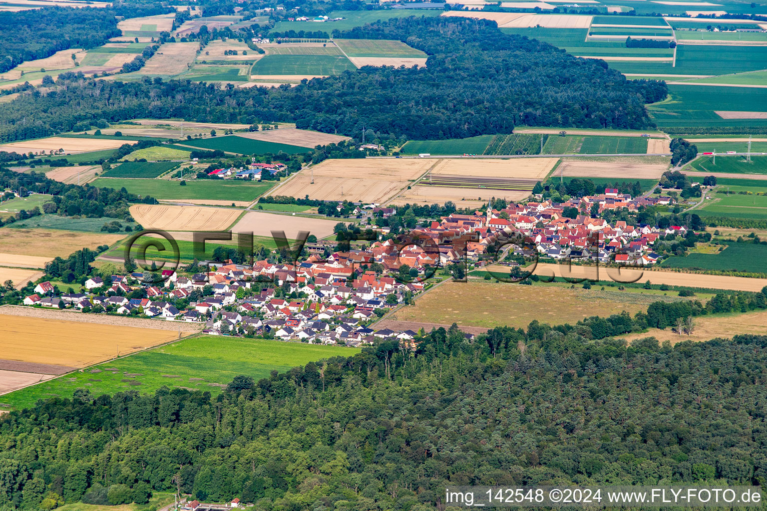 Du nord-est à Erlenbach bei Kandel dans le département Rhénanie-Palatinat, Allemagne depuis l'avion