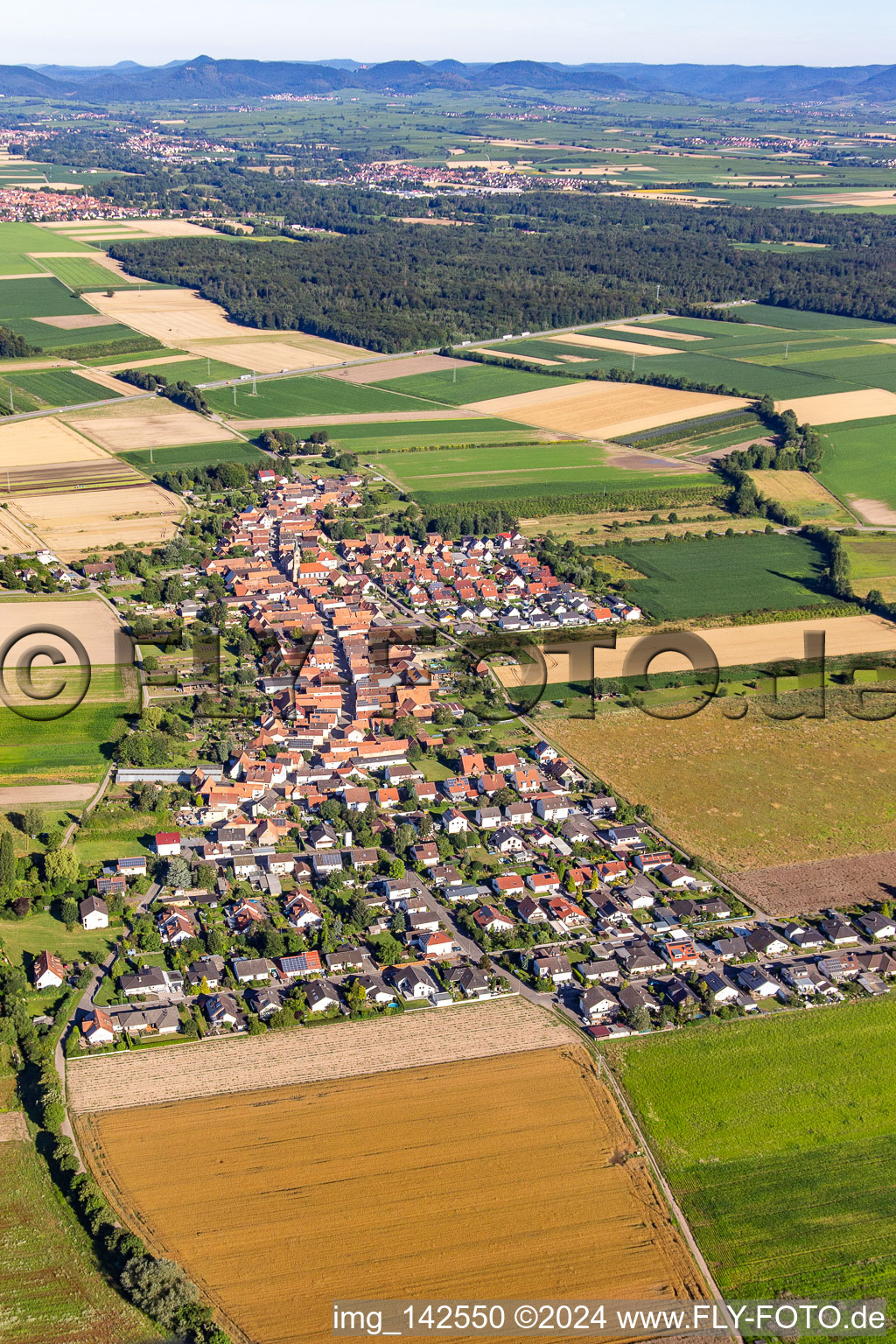 Vue aérienne de De l'est à Erlenbach bei Kandel dans le département Rhénanie-Palatinat, Allemagne