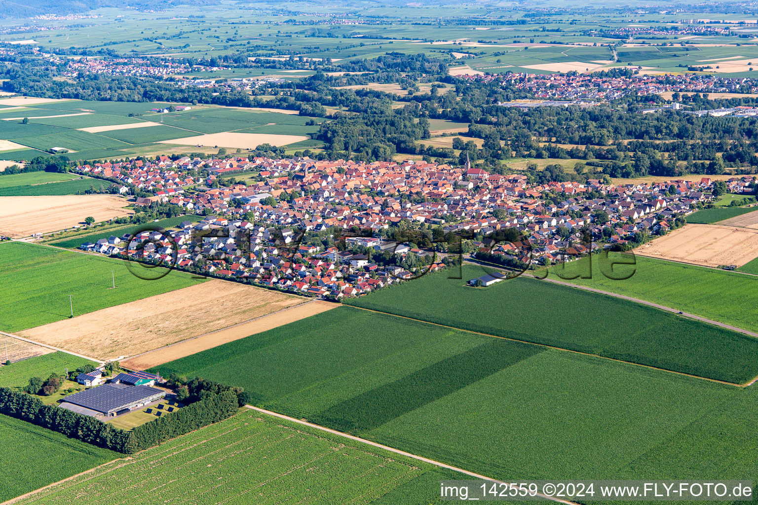 Vue aérienne de Du sud-est à Steinweiler dans le département Rhénanie-Palatinat, Allemagne