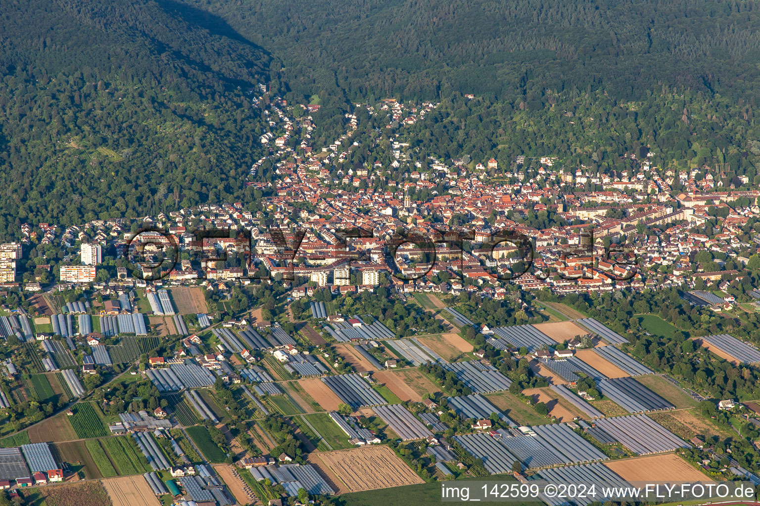 Vue aérienne de De l'ouest à le quartier Handschuhsheim in Heidelberg dans le département Bade-Wurtemberg, Allemagne