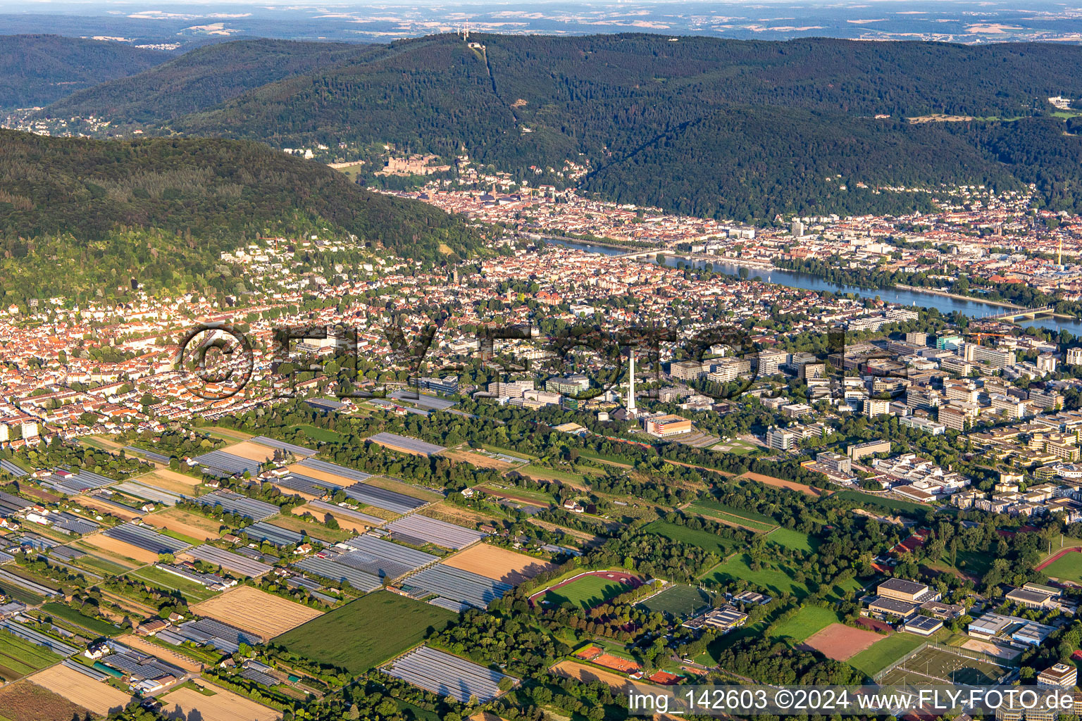 Vue aérienne de Du nord-ouest à le quartier Neuenheim in Heidelberg dans le département Bade-Wurtemberg, Allemagne