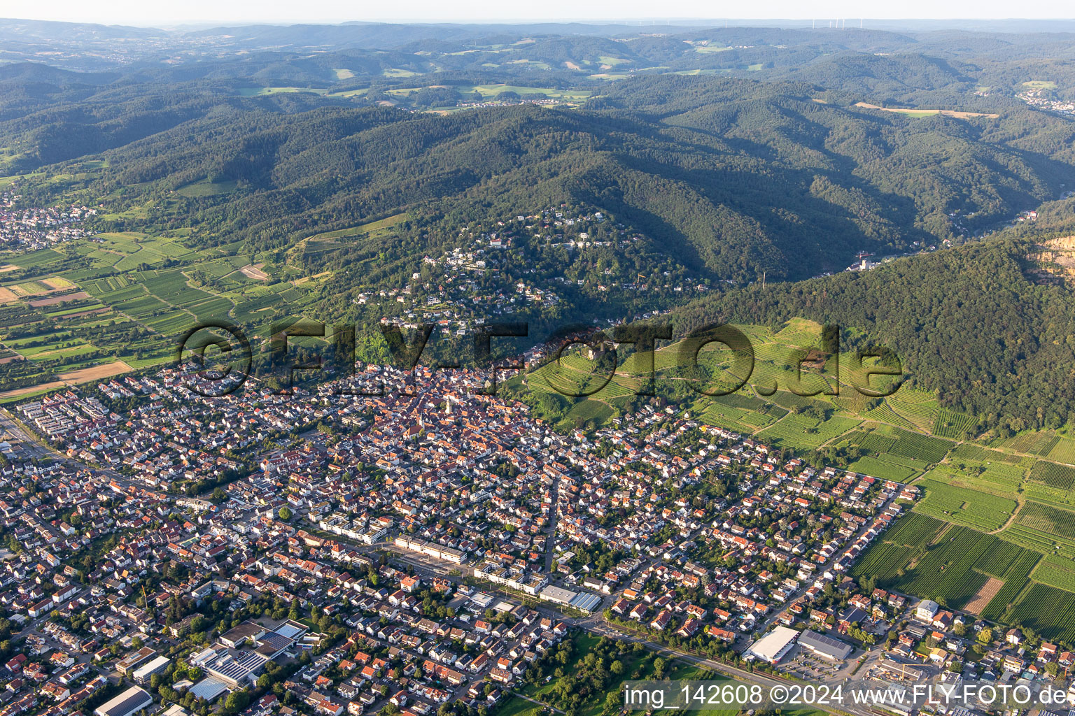 Vue aérienne de Du sud-ouest à Schriesheim dans le département Bade-Wurtemberg, Allemagne