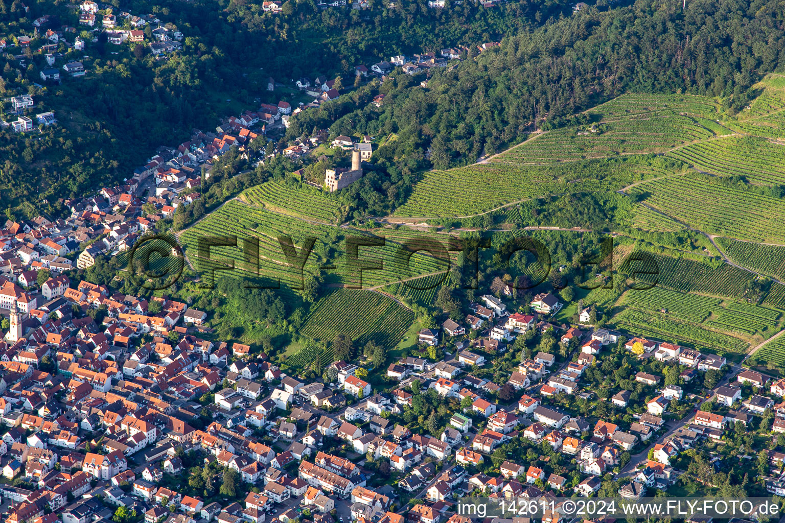 Vue aérienne de Ruines du château de Schauburg à Schriesheim dans le département Bade-Wurtemberg, Allemagne