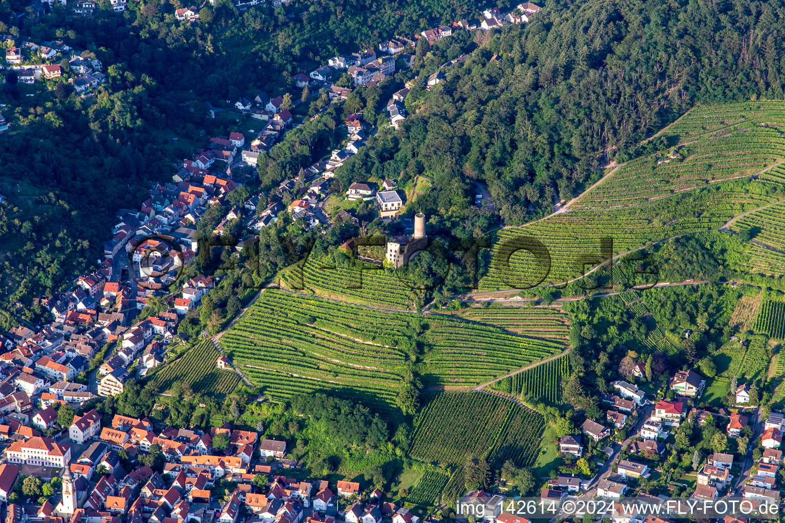 Vue aérienne de Ruines du château de Schauburg à Schriesheim dans le département Bade-Wurtemberg, Allemagne