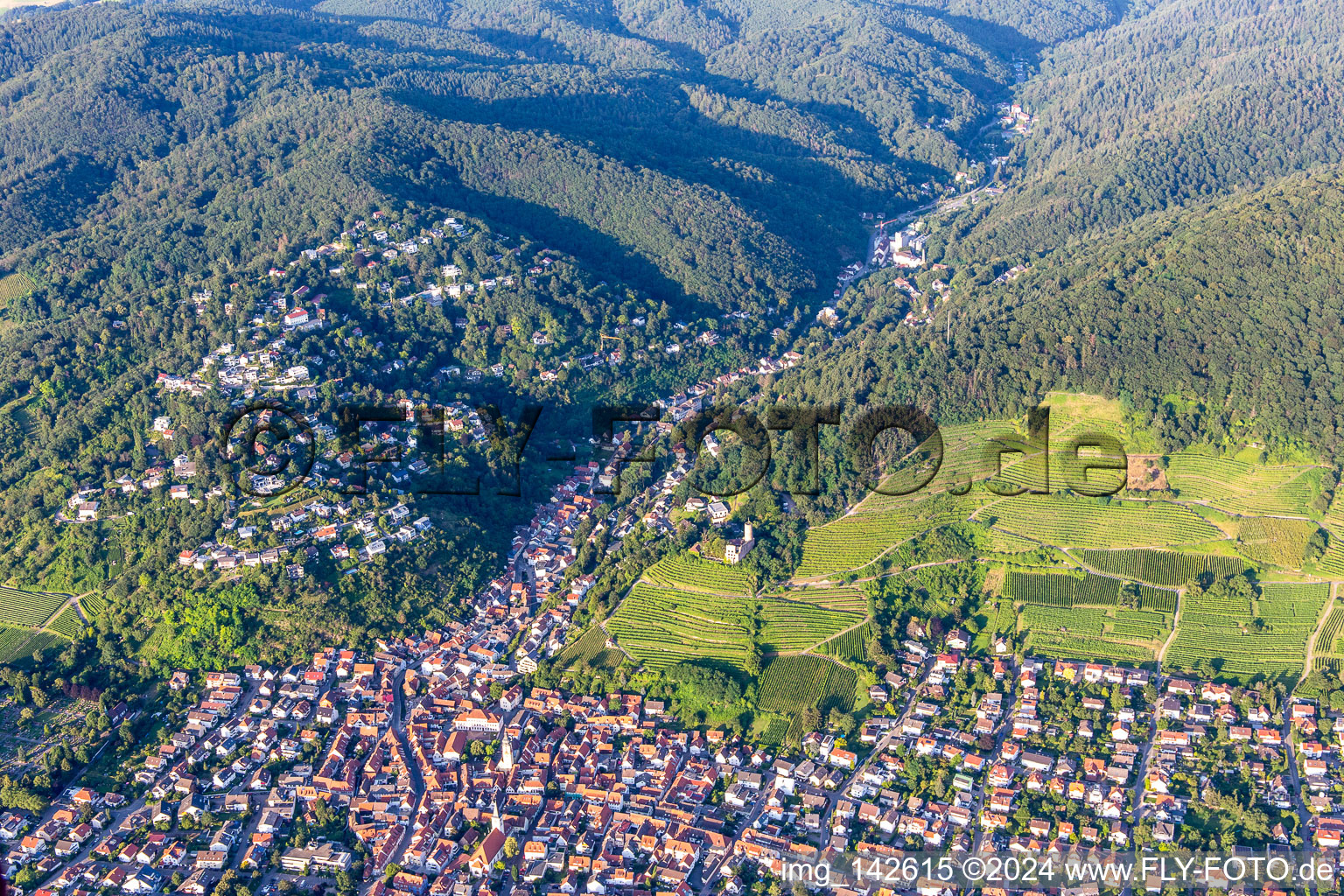 Vue aérienne de Talstr à Schriesheim dans le département Bade-Wurtemberg, Allemagne