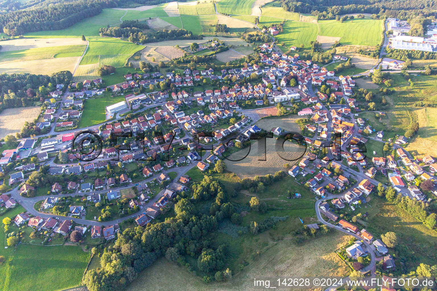 Vue aérienne de Quartier Ober-Abtsteinach in Abtsteinach dans le département Hesse, Allemagne