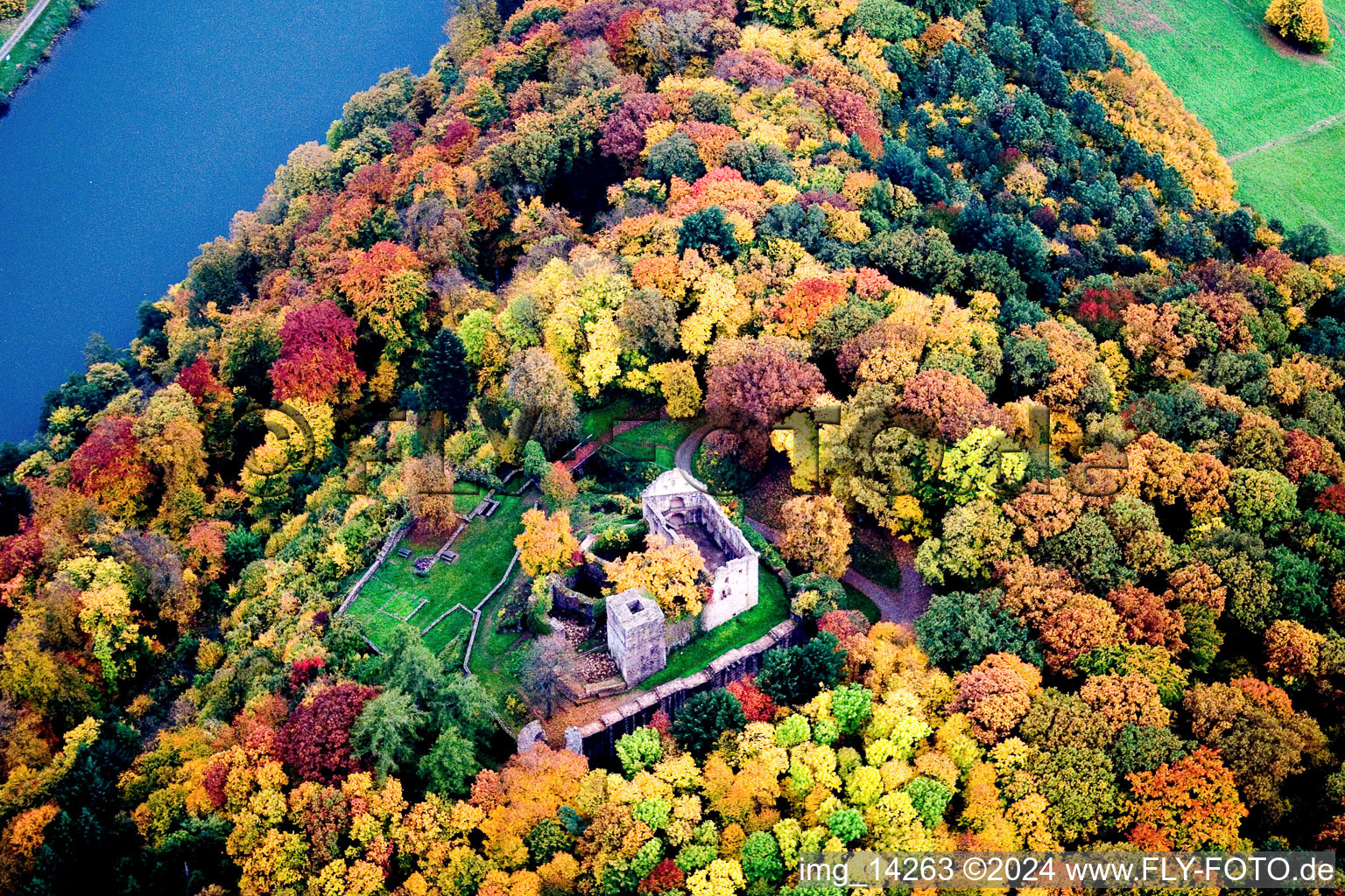 Vue aérienne de Ruines et vestiges du mur de l'ancien complexe du château de Minneburg dans la forêt d'automne au-dessus du Neckar à Neckargerach dans le département Bade-Wurtemberg, Allemagne