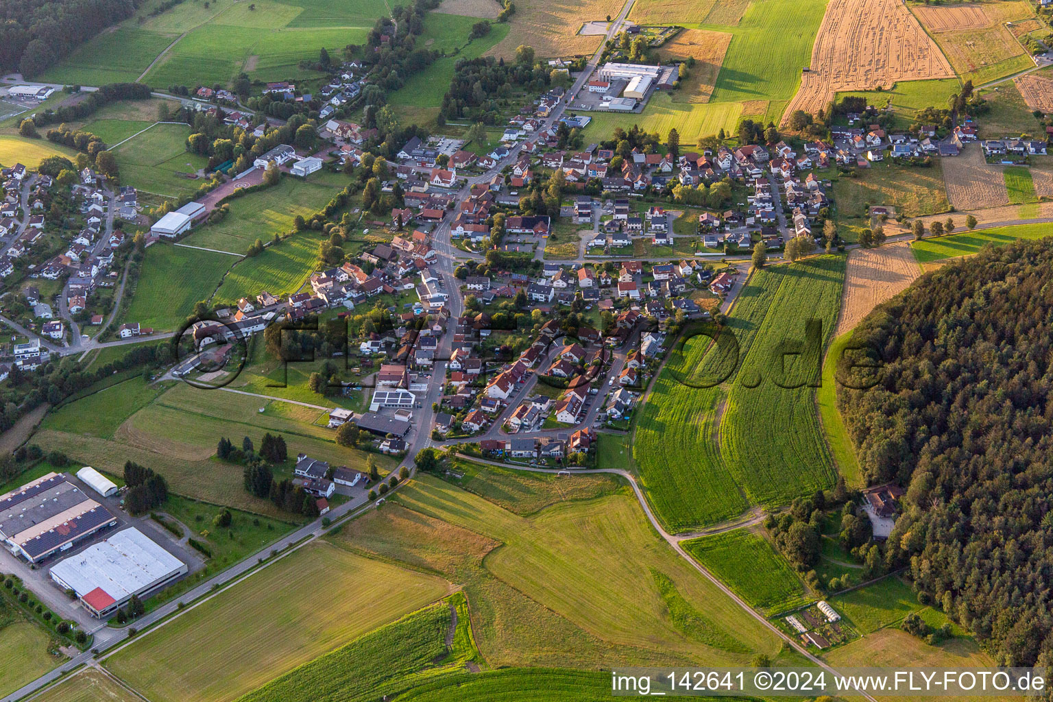 Vue d'oiseau de Quartier Affolterbach in Wald-Michelbach dans le département Hesse, Allemagne