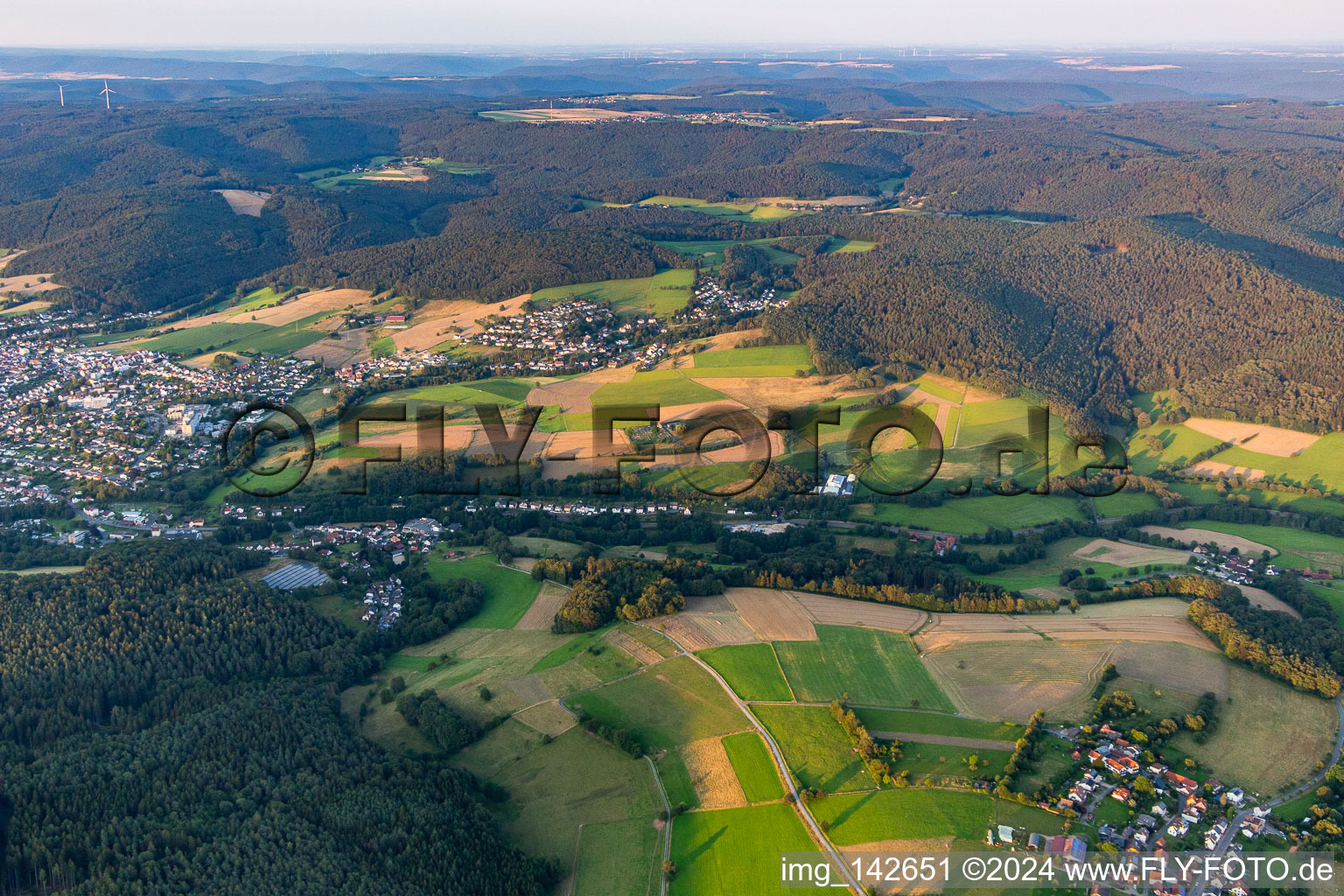 Vue aérienne de Quartier Lauerbach in Erbach dans le département Hesse, Allemagne