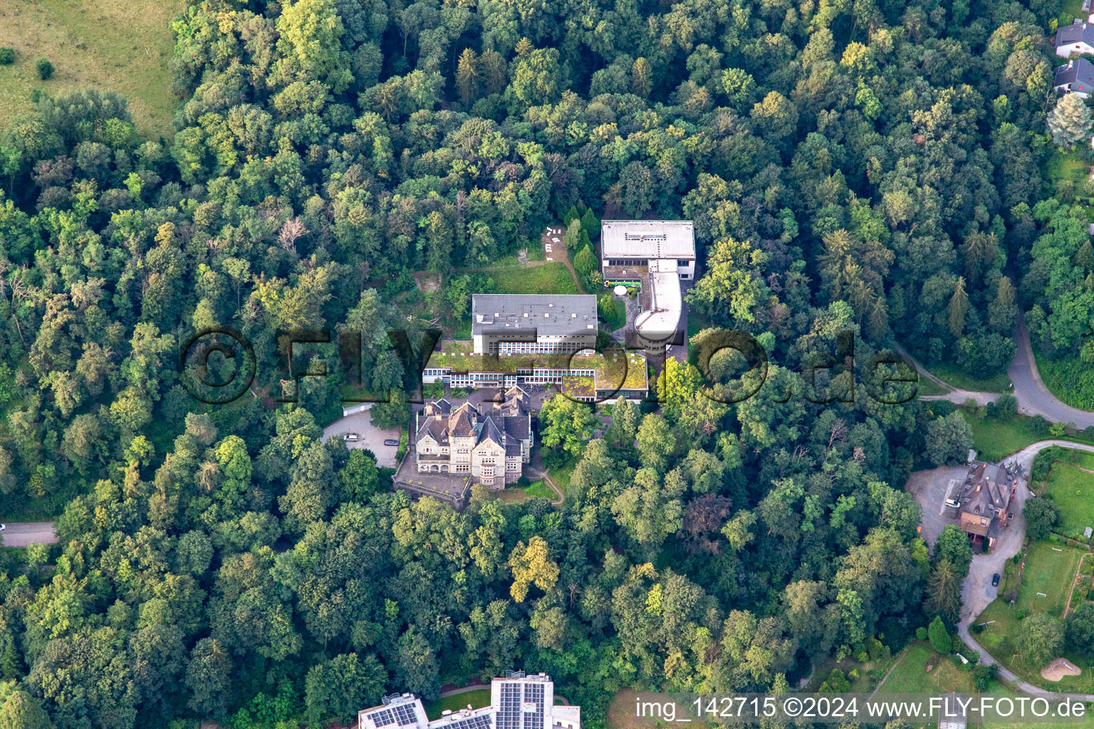 Vue aérienne de Villas sur la Nibelungenstr à Bensheim dans le département Hesse, Allemagne