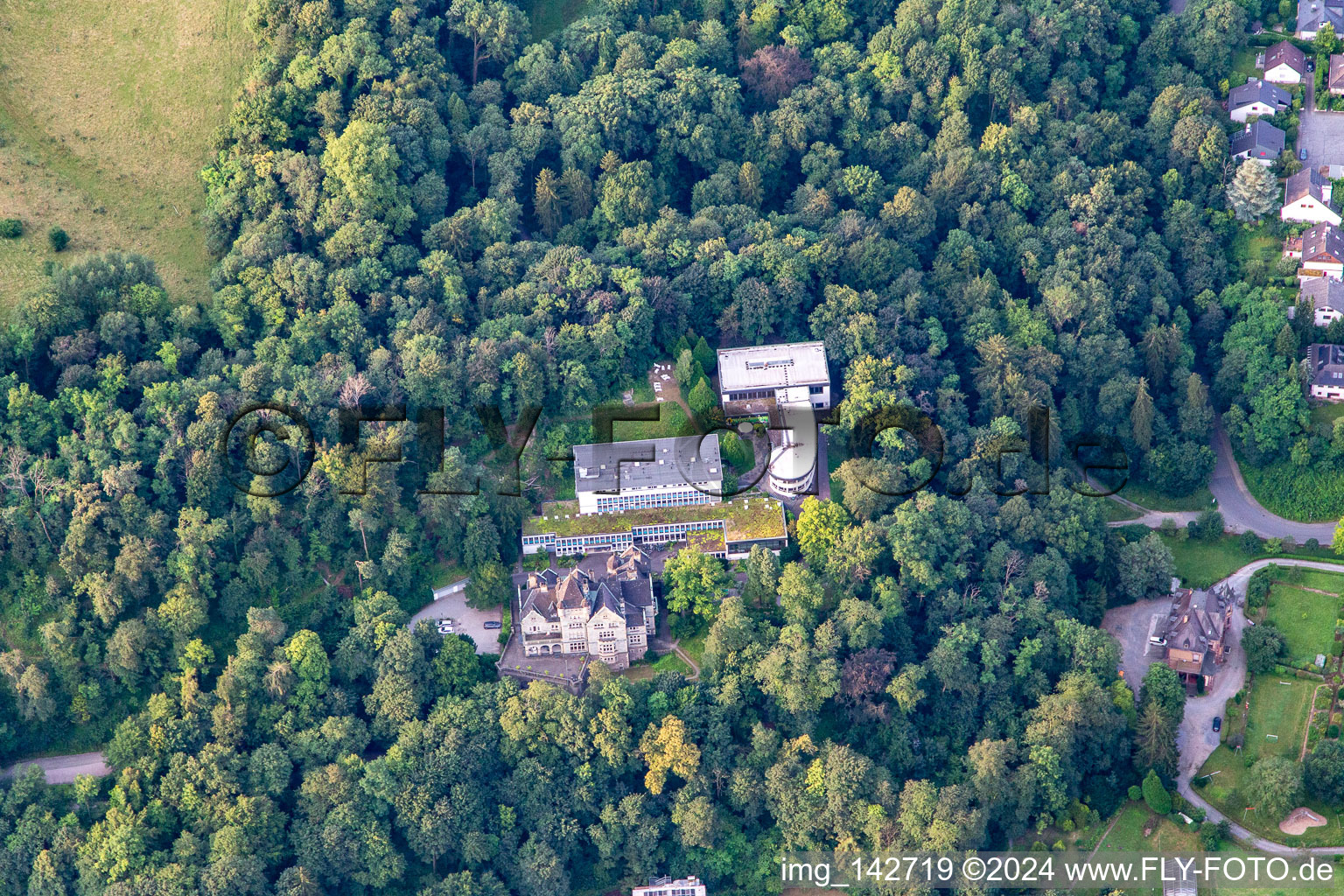 Vue aérienne de Villas sur la Nibelungenstr à Bensheim dans le département Hesse, Allemagne