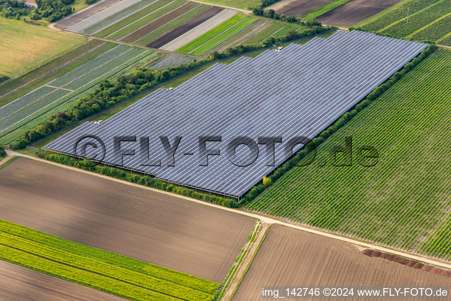 Vue aérienne de Grand système photovoltaïque extérieur à Bürstadt dans le département Hesse, Allemagne