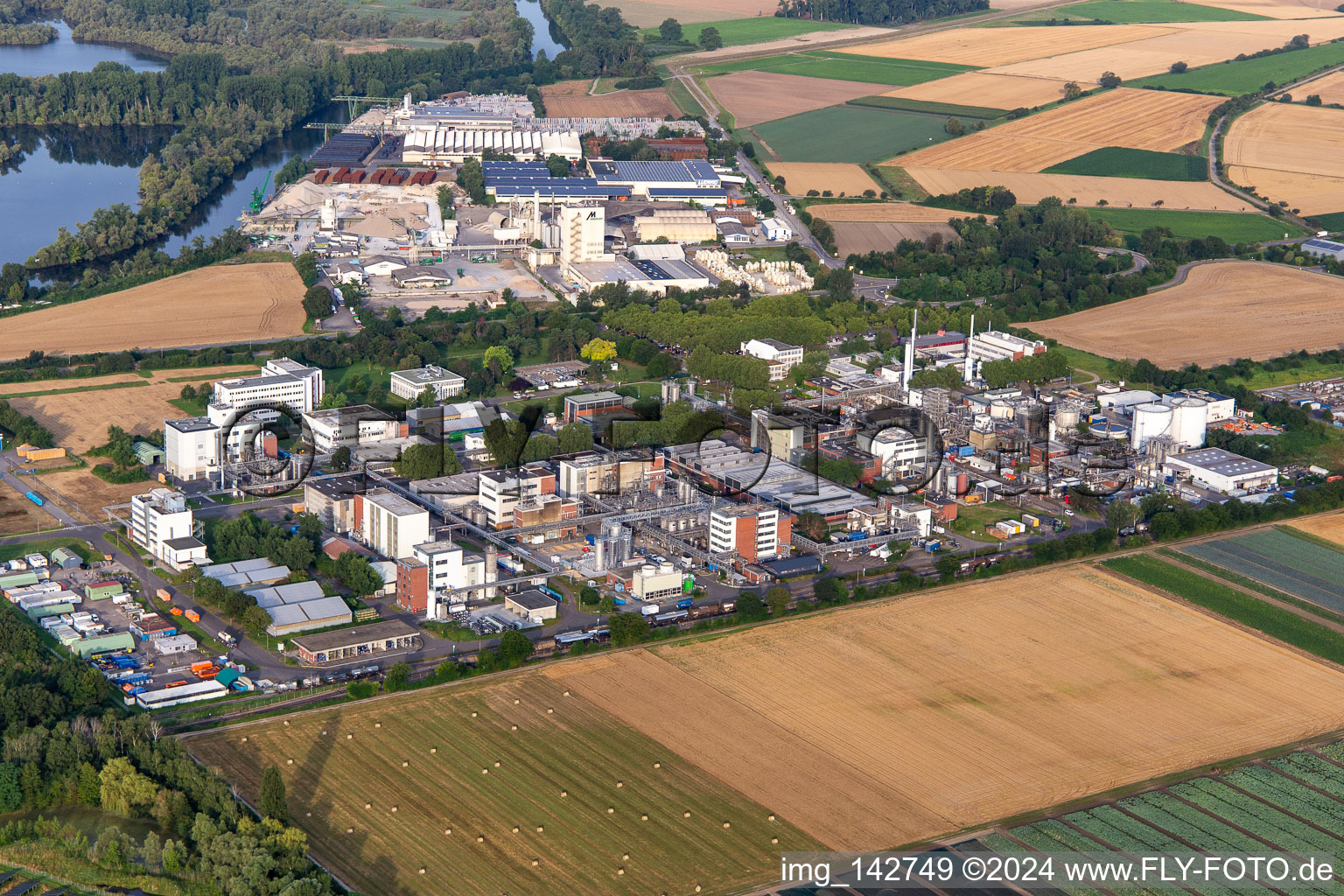 Vue aérienne de BASF Lampertheim GmbH à Lampertheim dans le département Hesse, Allemagne