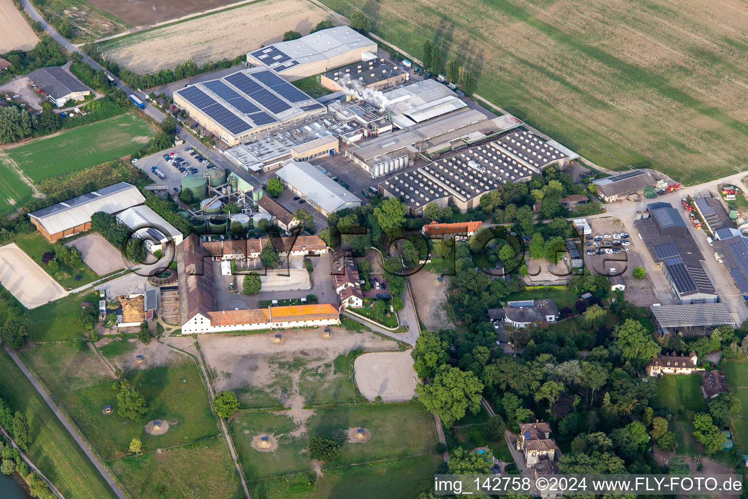 Vue aérienne de Usine Intersnack Allemagne SE Petersau et centre équestre Carlo von Opel à le quartier Mörsch in Frankenthal dans le département Rhénanie-Palatinat, Allemagne