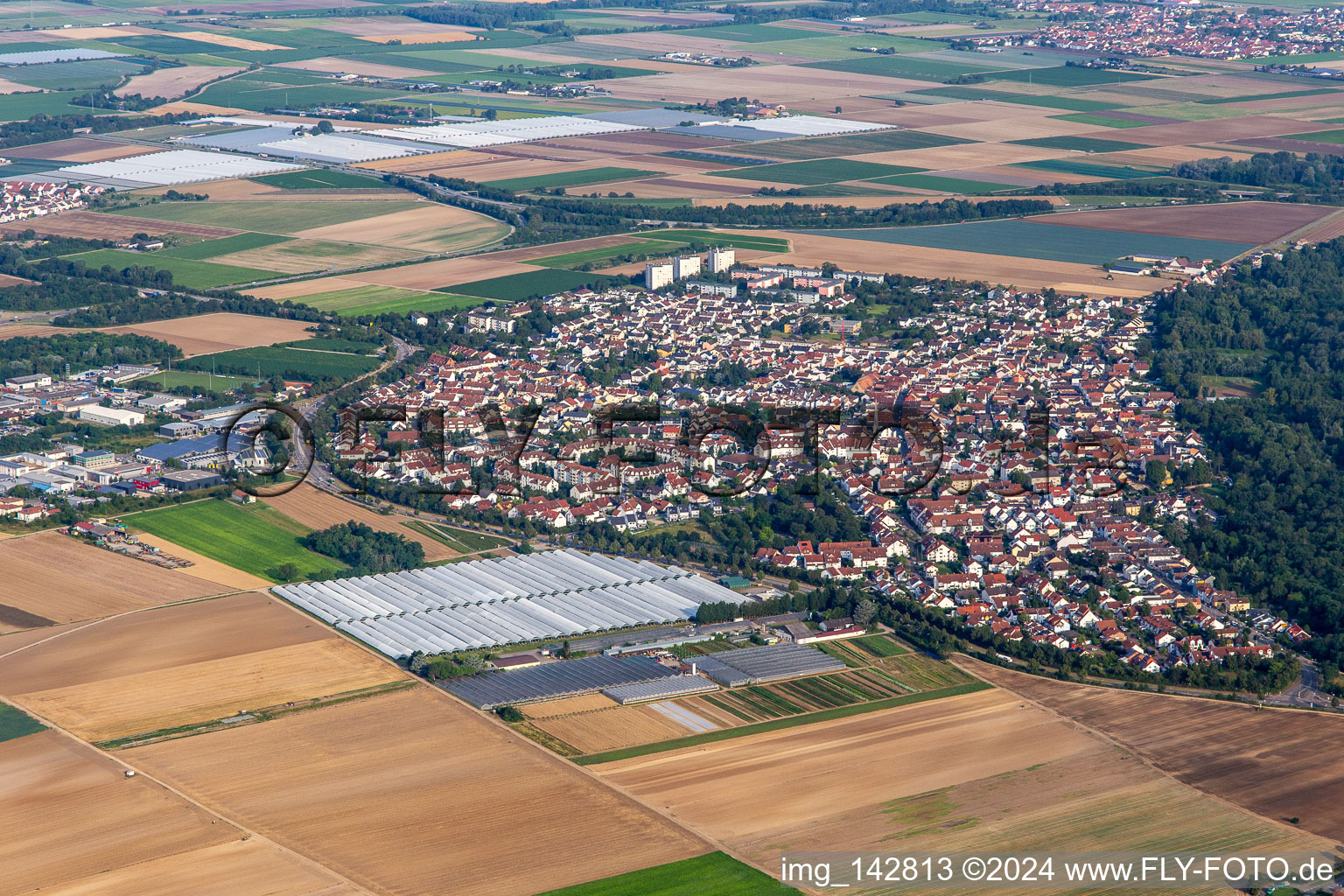 Vue aérienne de De l'est à le quartier Maudach in Ludwigshafen am Rhein dans le département Rhénanie-Palatinat, Allemagne