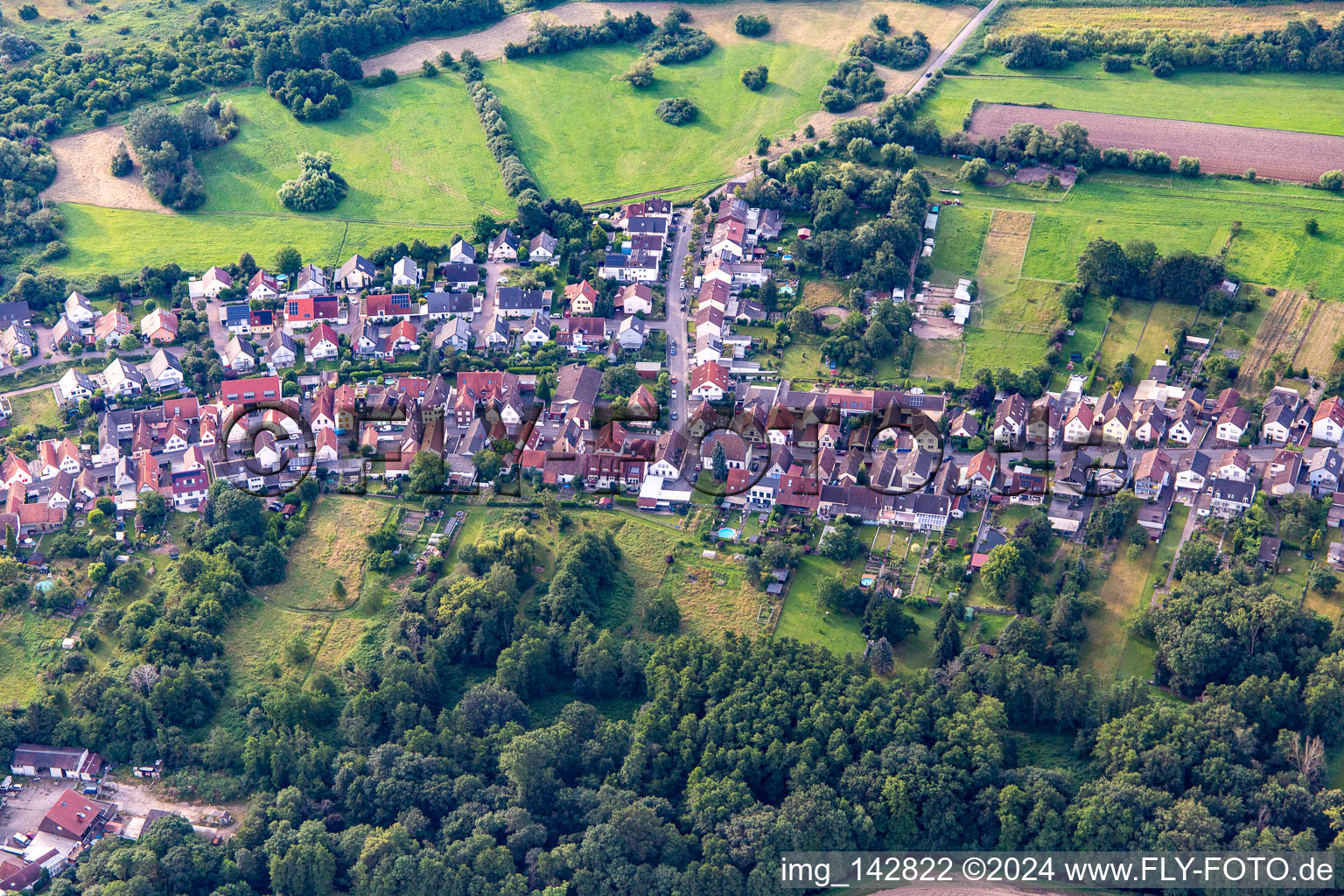 Vue aérienne de Holzgasse x Langgasse à Schifferstadt dans le département Rhénanie-Palatinat, Allemagne