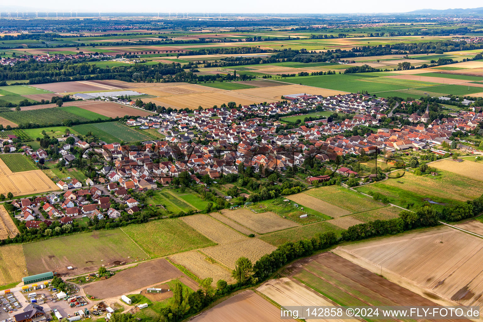 Vue aérienne de Du nord à Gommersheim dans le département Rhénanie-Palatinat, Allemagne