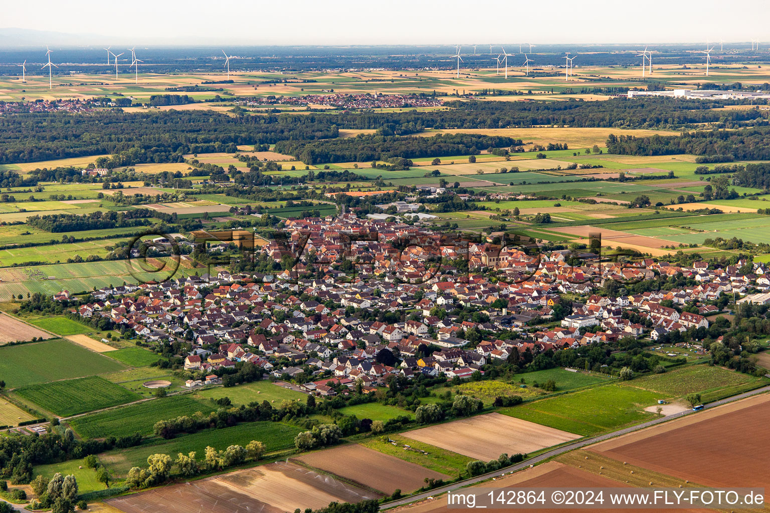 Vue aérienne de Du nord-est à Zeiskam dans le département Rhénanie-Palatinat, Allemagne