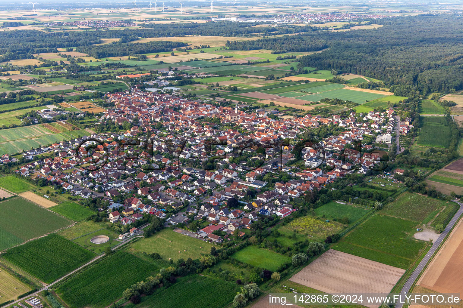 Vue aérienne de Du nord-est à Zeiskam dans le département Rhénanie-Palatinat, Allemagne