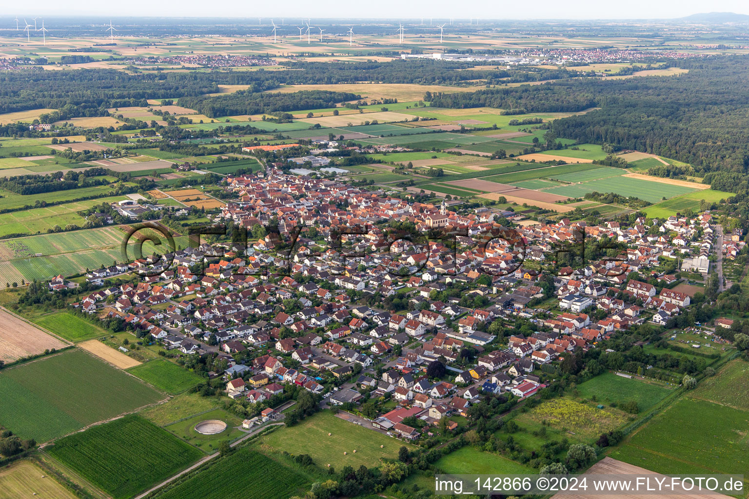 Photographie aérienne de Du nord-est à Zeiskam dans le département Rhénanie-Palatinat, Allemagne