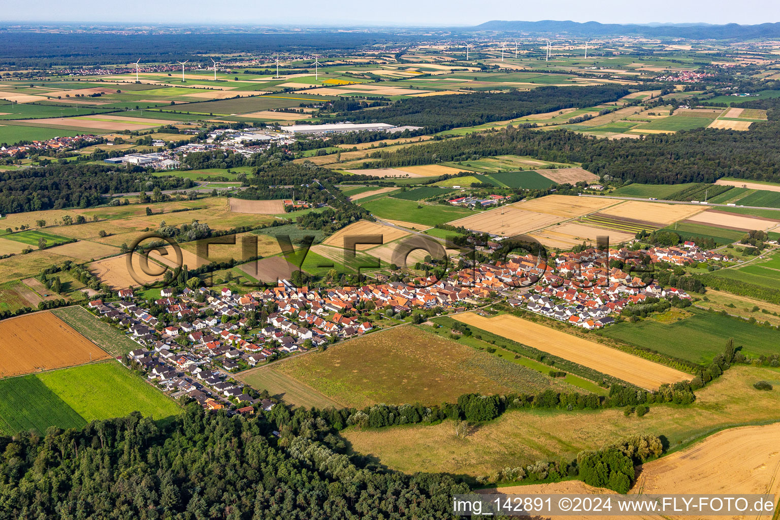 Vue d'oiseau de Du nord-est à Erlenbach bei Kandel dans le département Rhénanie-Palatinat, Allemagne