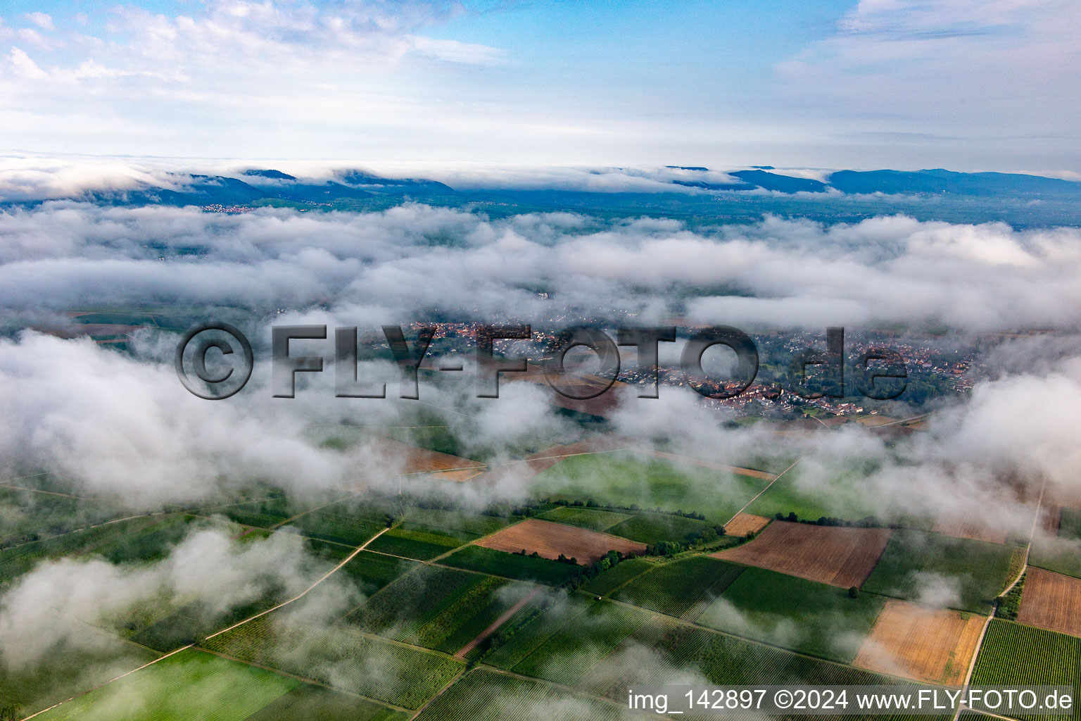 Vue aérienne de Sous les nuages bas à le quartier Ingenheim in Billigheim-Ingenheim dans le département Rhénanie-Palatinat, Allemagne