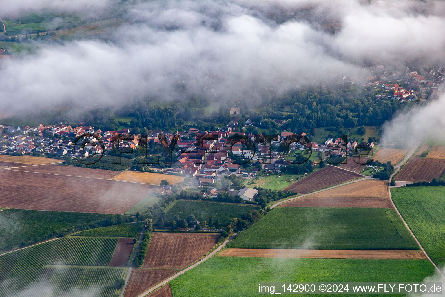 Vue aérienne de Route forestière du sud sous les nuages à le quartier Mühlhofen in Billigheim-Ingenheim dans le département Rhénanie-Palatinat, Allemagne