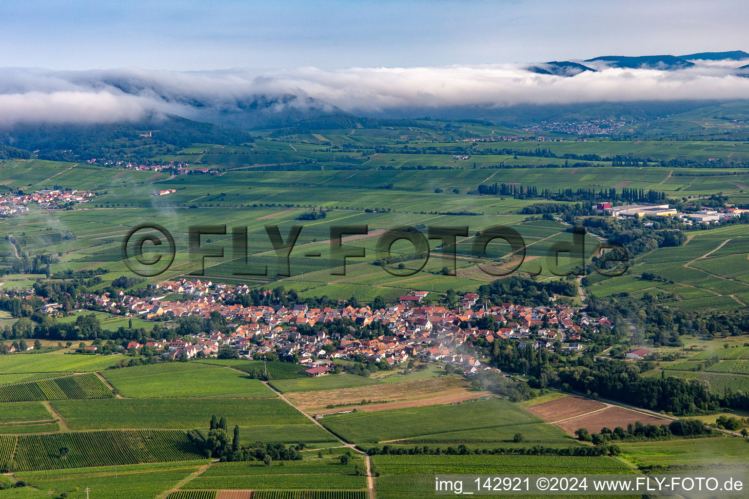 Vue aérienne de Village du sud avec nuages à Göcklingen dans le département Rhénanie-Palatinat, Allemagne