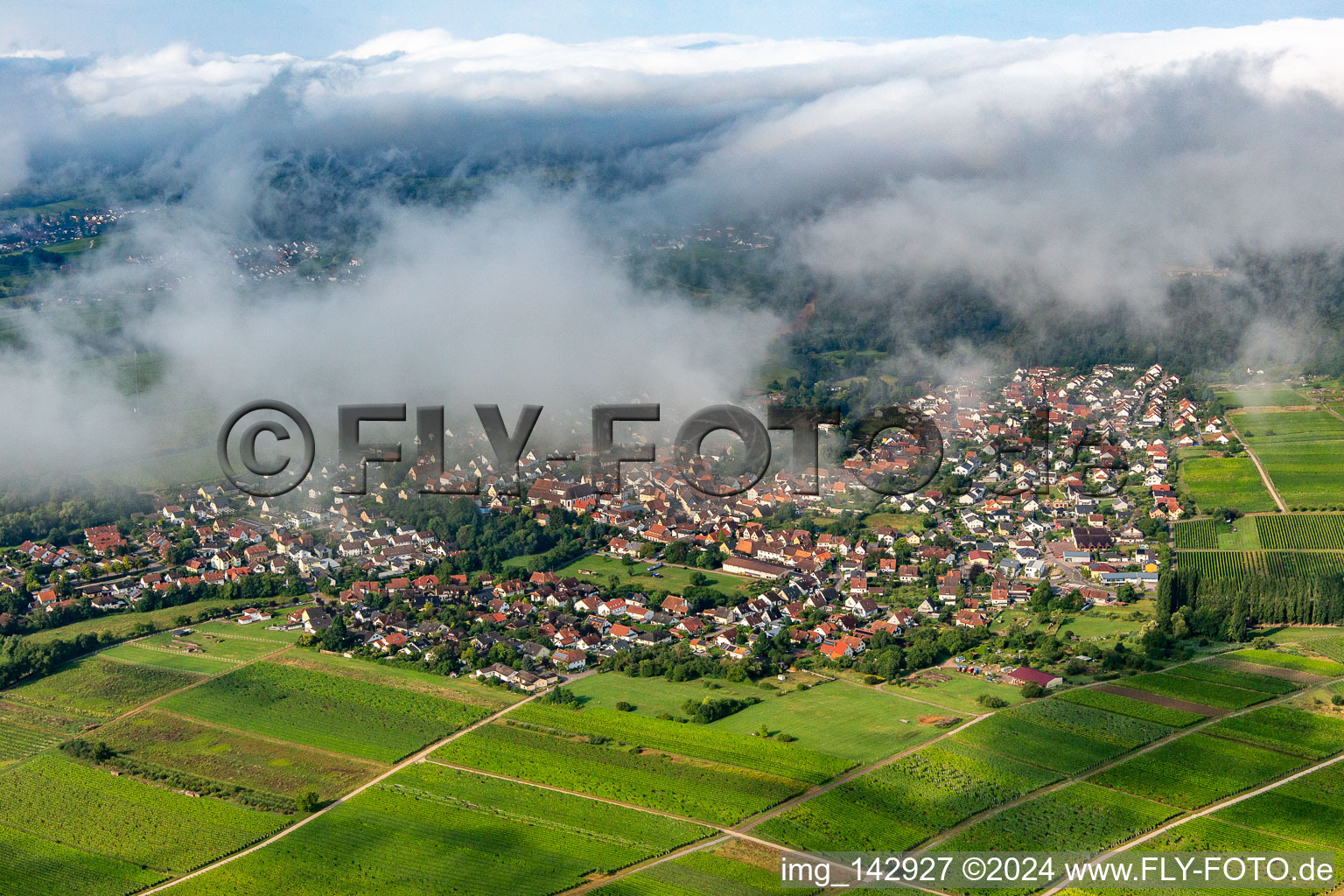 Vue aérienne de Village à la lisière de la forêt du Palatinat depuis le nord-est sous les nuages à Klingenmünster dans le département Rhénanie-Palatinat, Allemagne